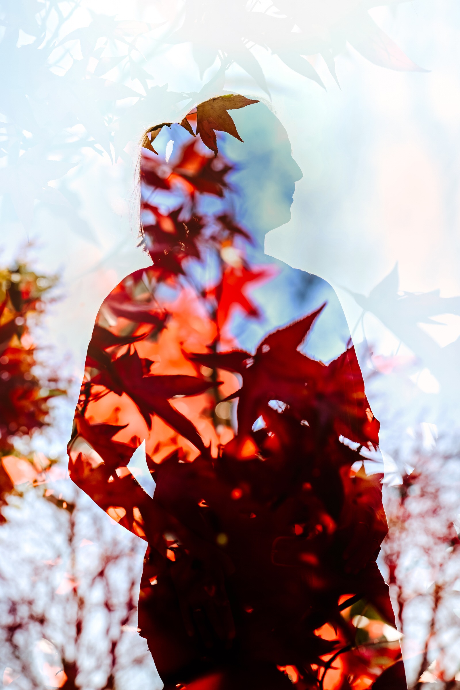 HSP-coaching op maat-grenzen-balans-overprikkeling-moe-keuzes